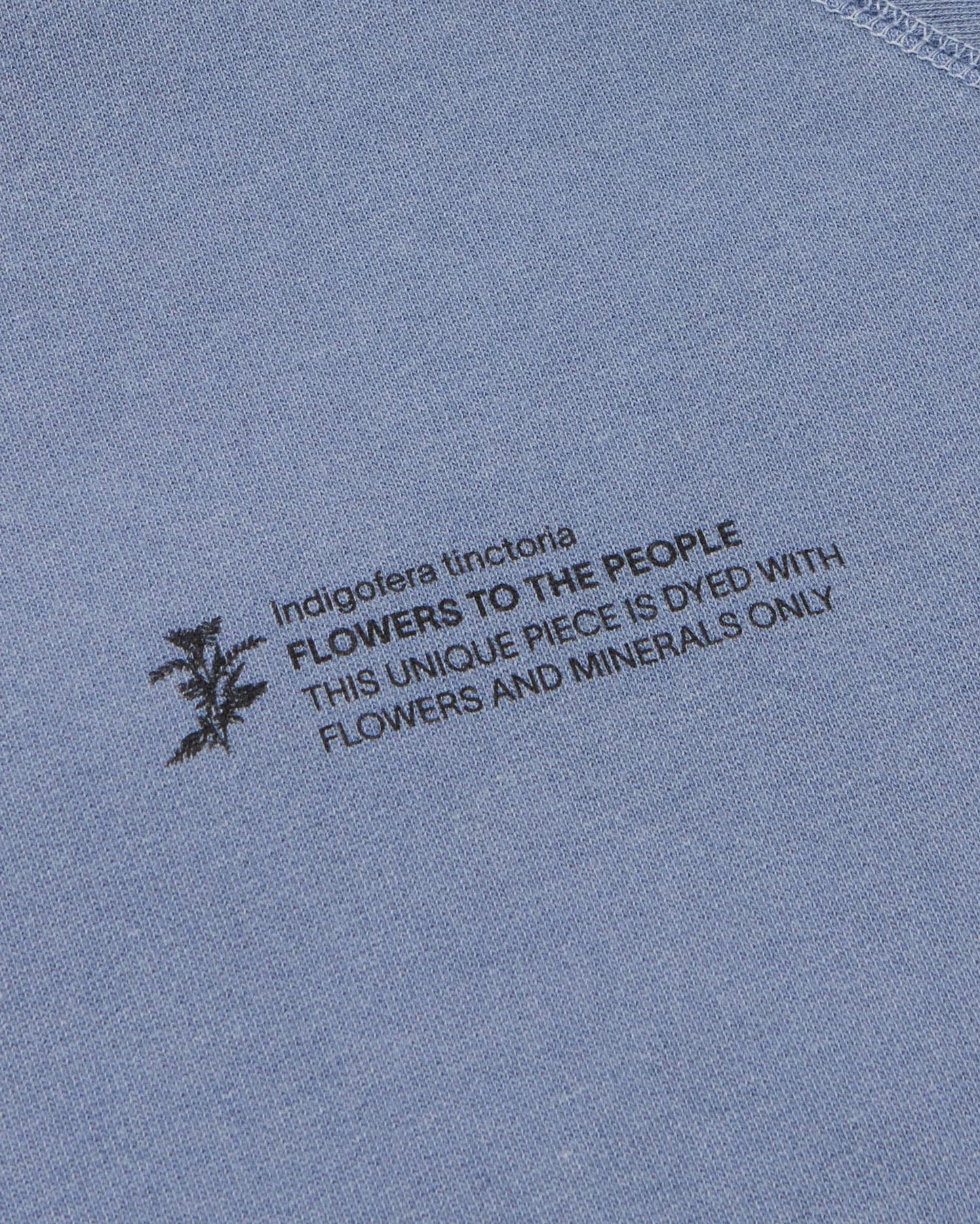 Sudadera indigofera tinctoria FTP unisex - silueta 2