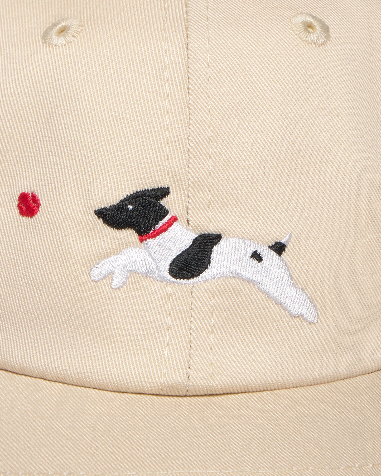 Gorra dog ball cruda sostenible silueta - 4