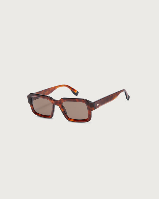 Havana Marx sunglasses