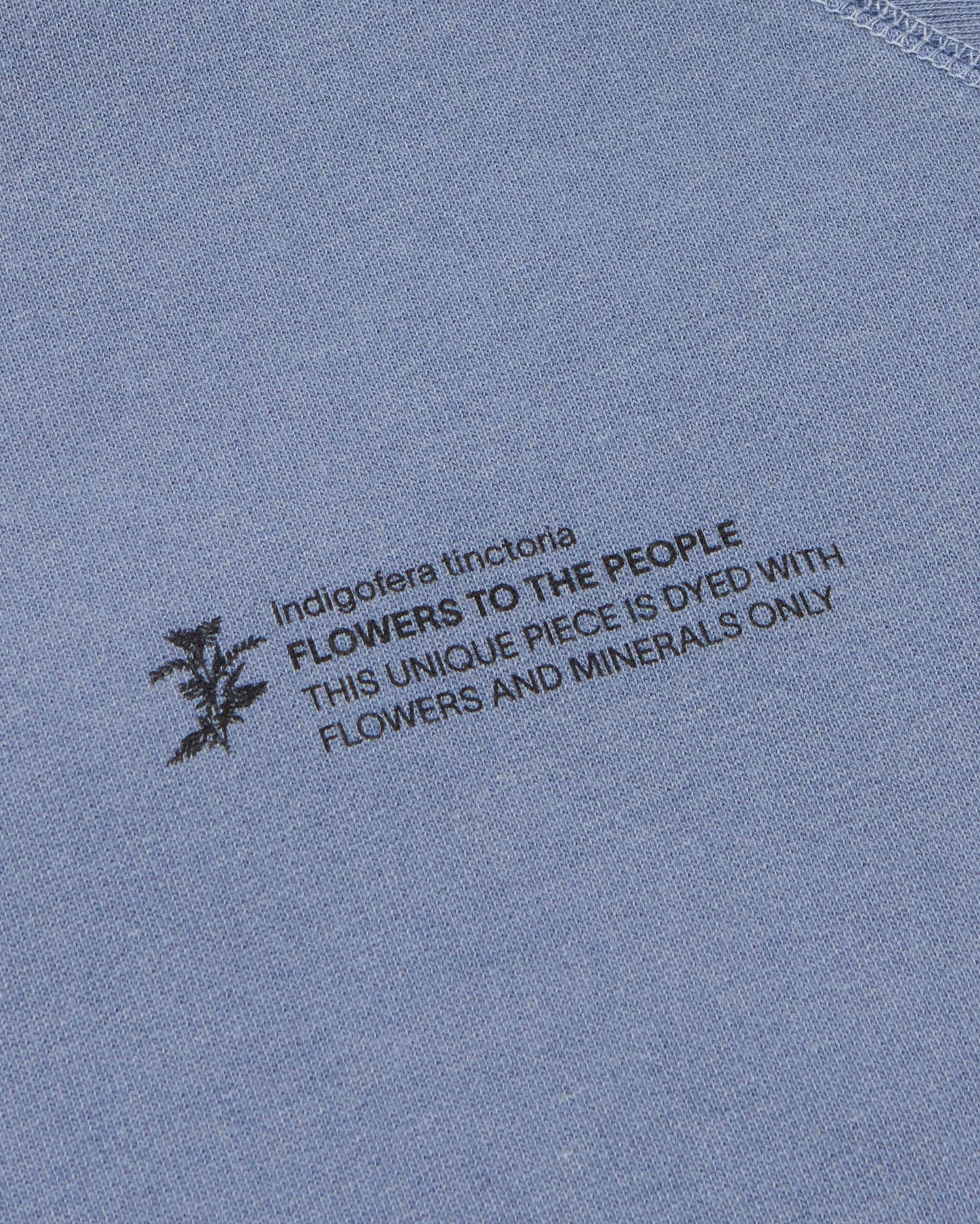Sudadera indigofera tinctoria FTP unisex - silueta 2