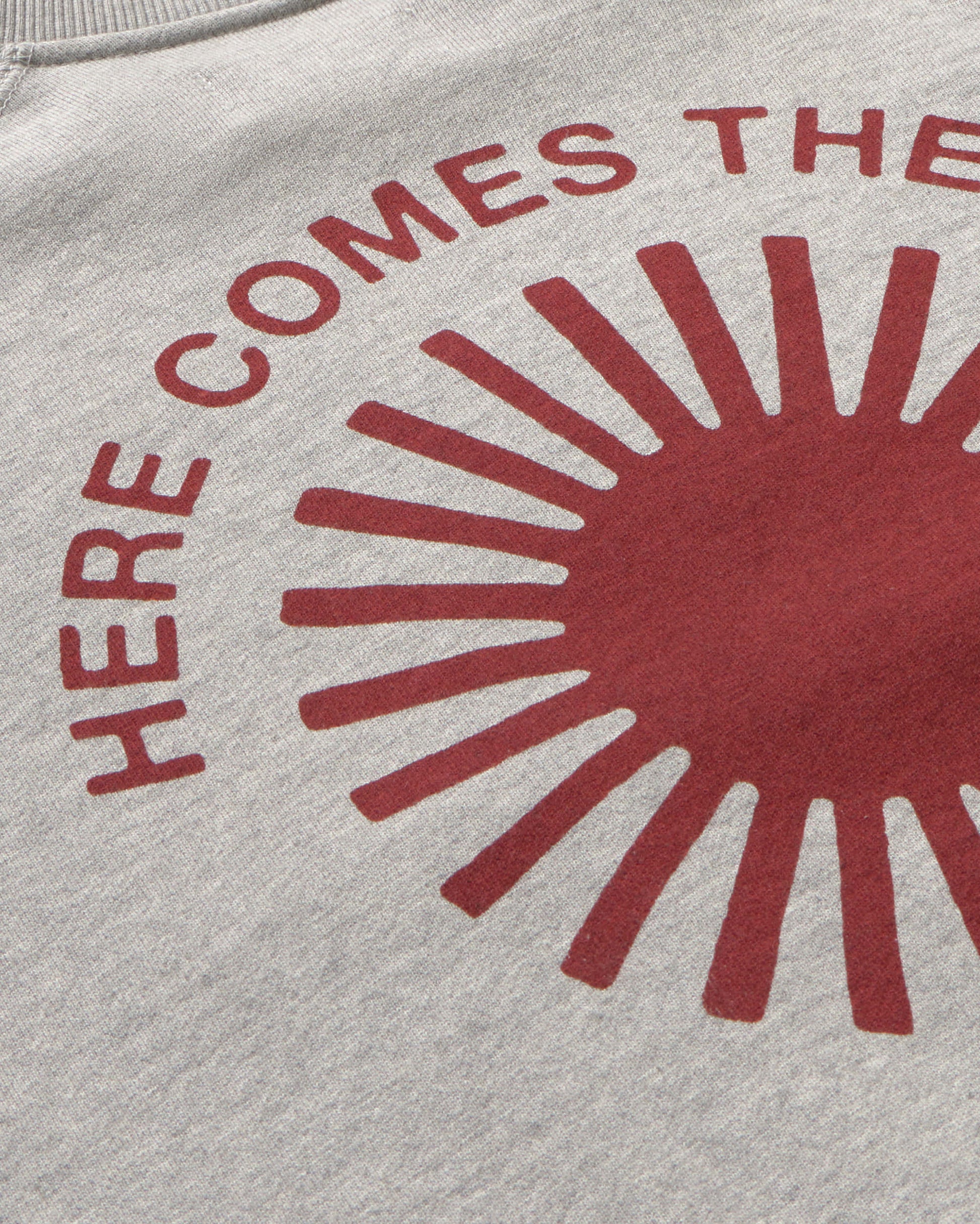 Sudadera gris retro sol Pepe sostenible - silueta 2