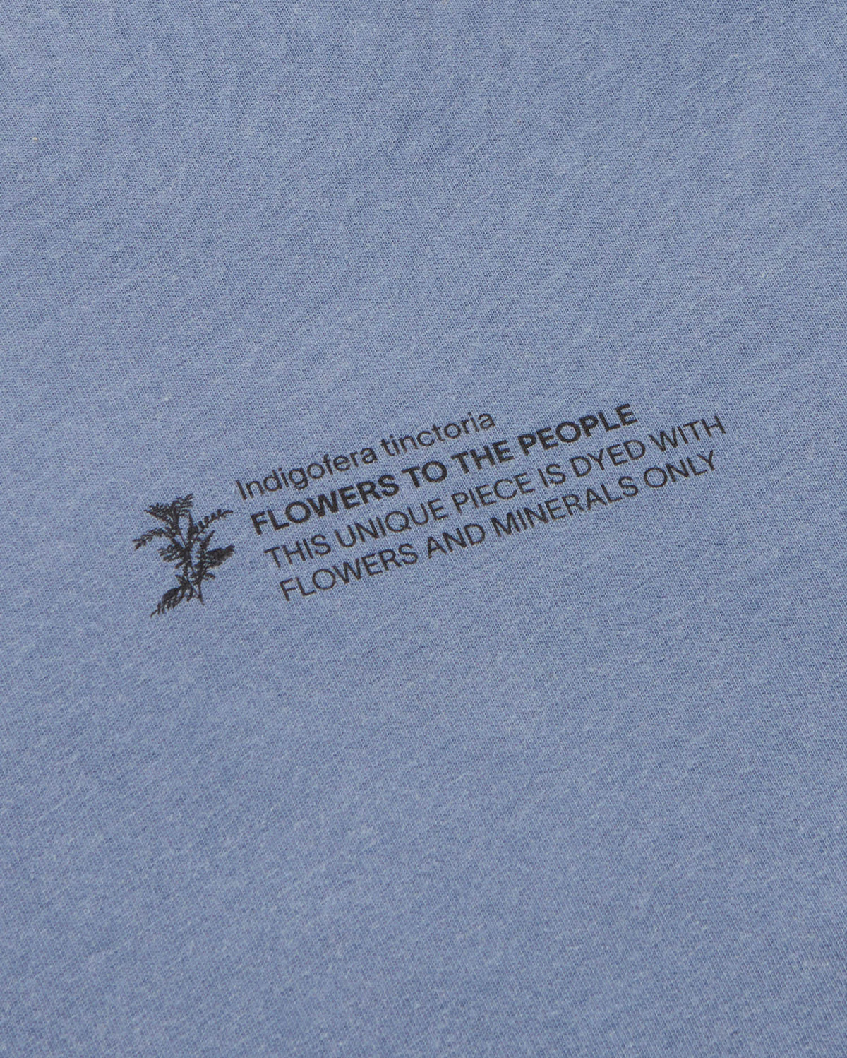 Camiseta indigofera tinctoria FTP unisex - silueta 2