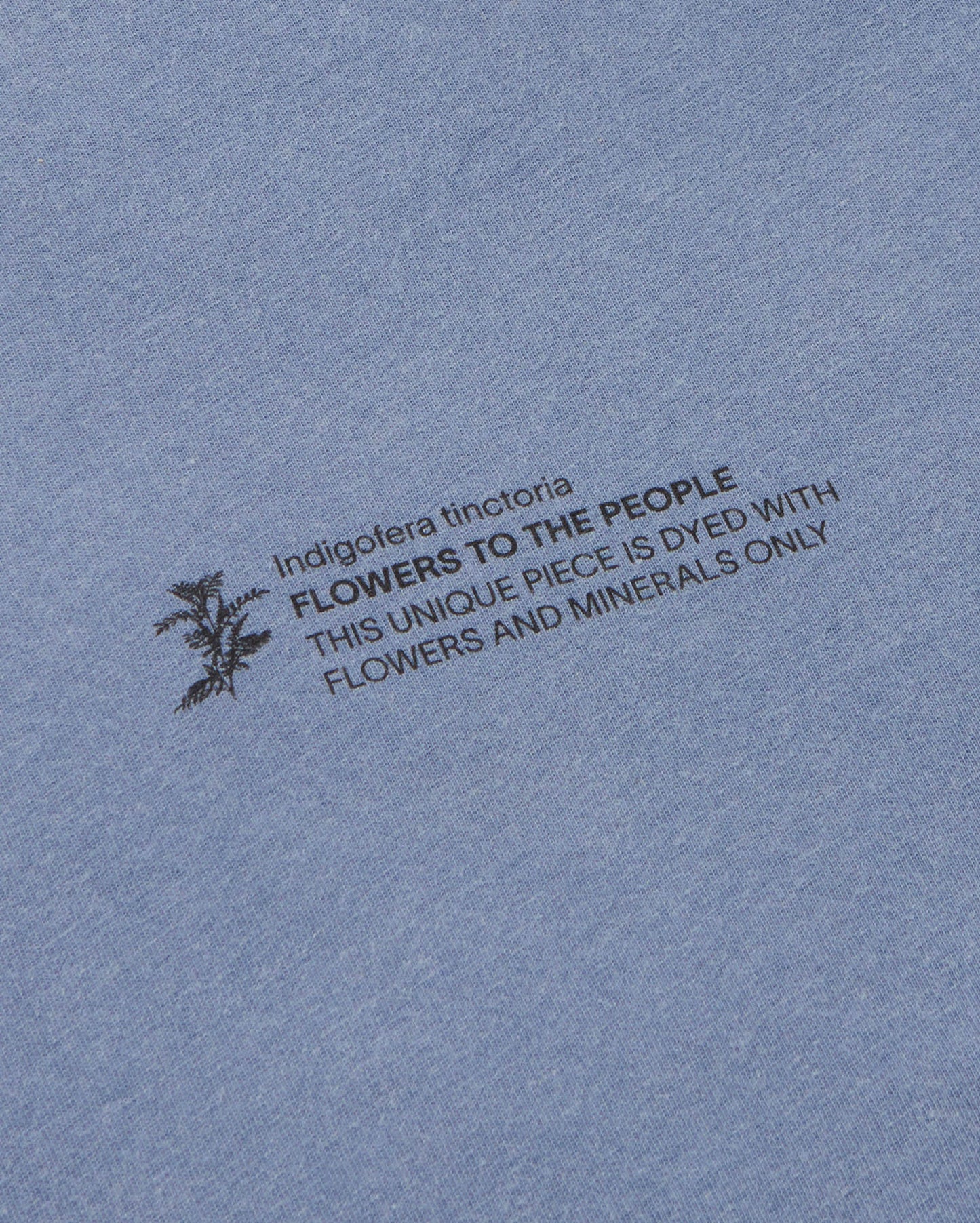 Camiseta indigofera tinctoria FTP unisex - silueta 2