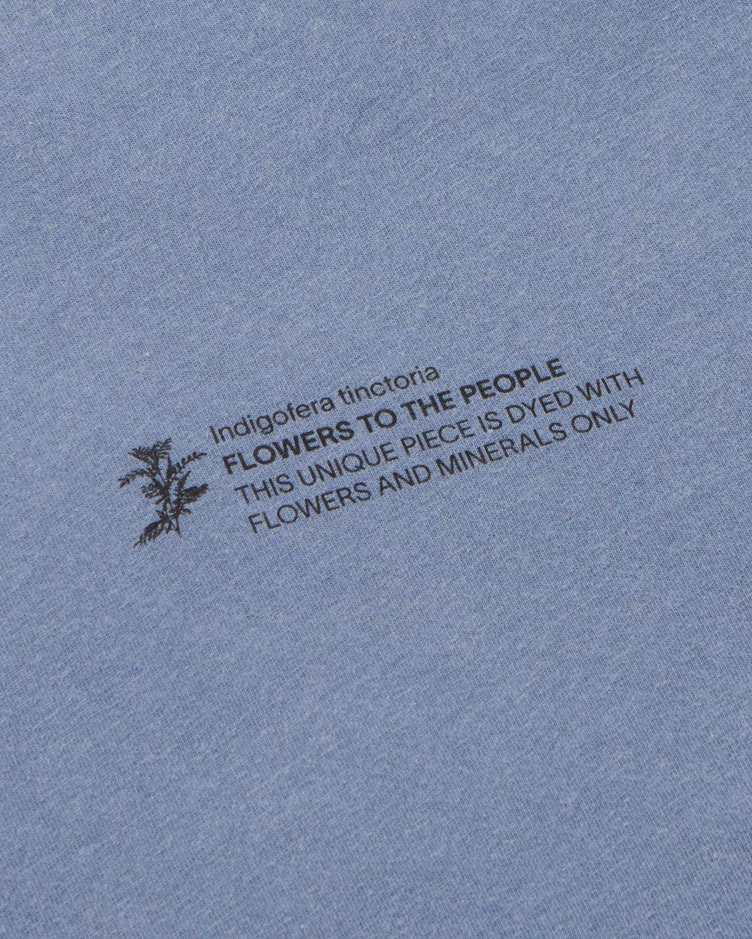 Camiseta indigofera tinctoria FTP unisex - silueta 2