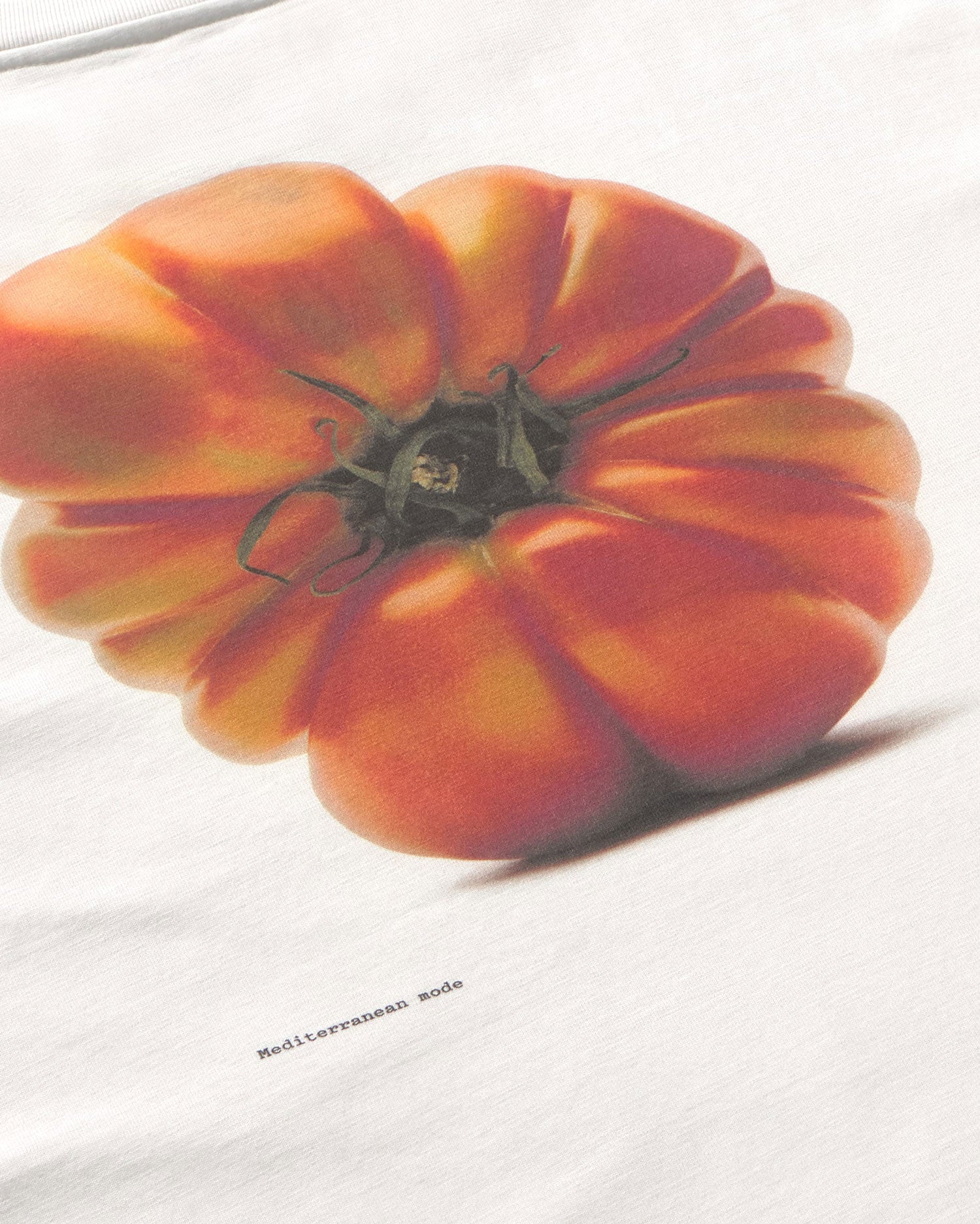 Camiseta oversize tomaquet Eric sostenible silueta - 3