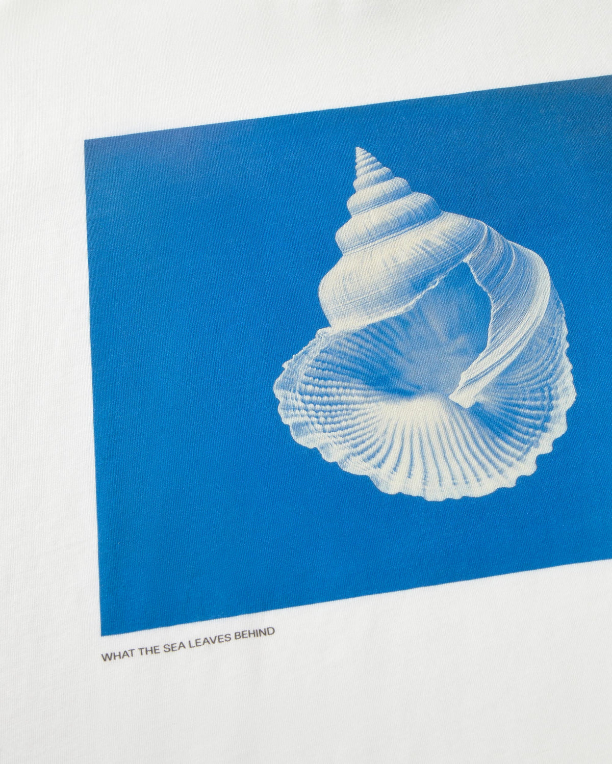 Camiseta sea treasure Zach sostenible silueta - 2