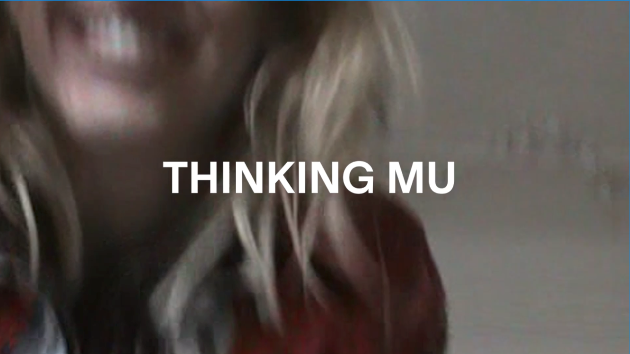 Cargar video: 