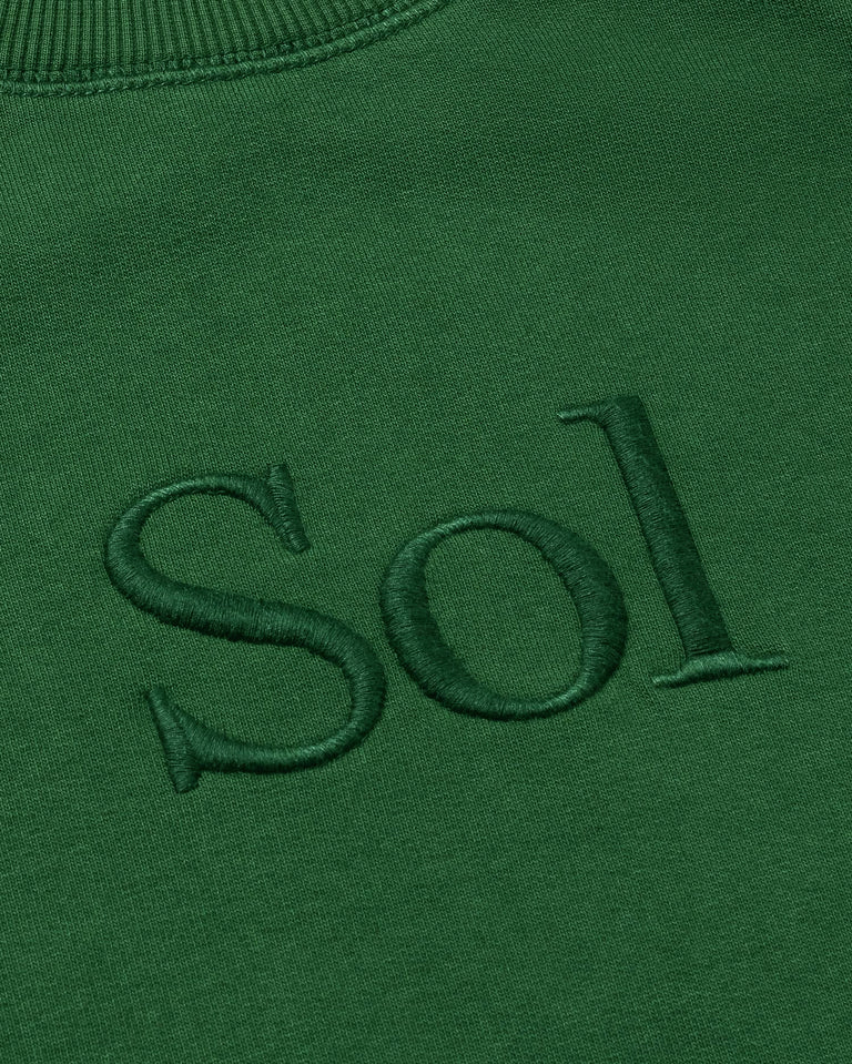 Sudadera verde sol type Bonnie sostenible-silueta 3