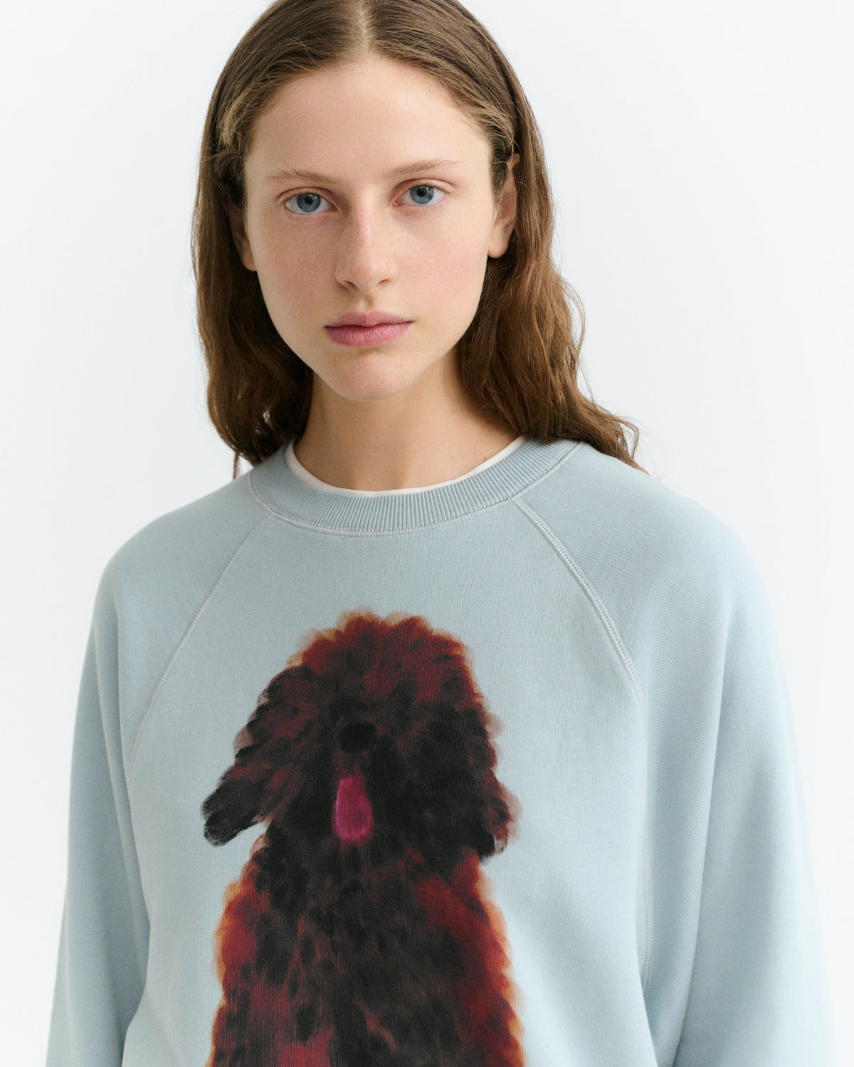 Sudadera pet Bonnie sostenible - 3