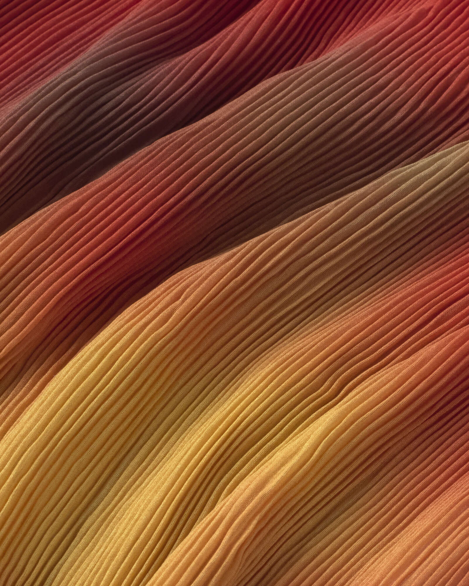 Top plisado rojo flowers Dora sostenible silueta - 2