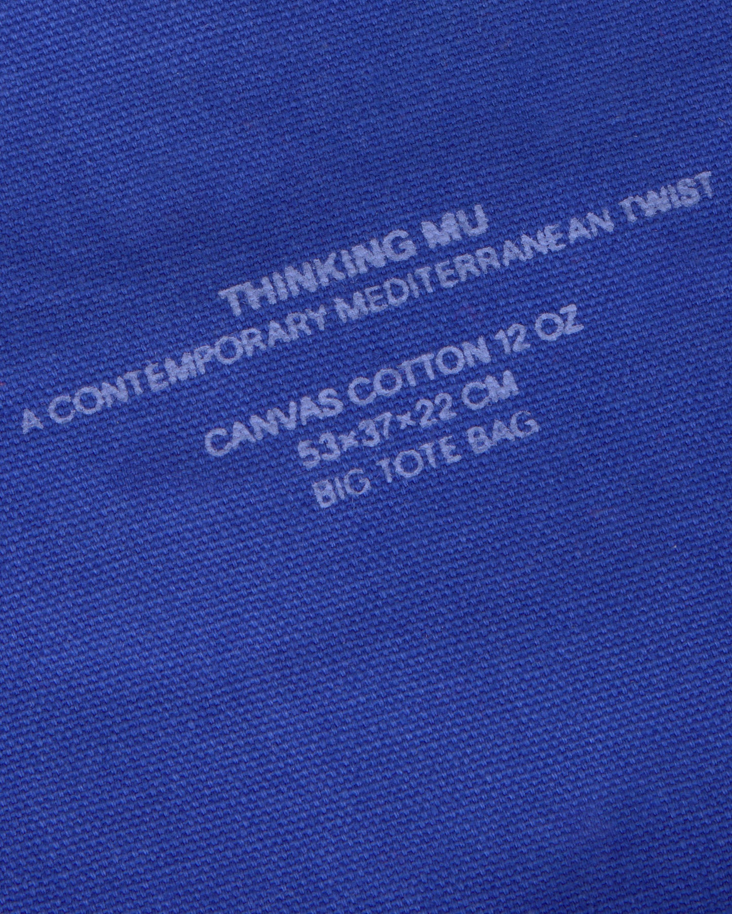 Blue Mon big carry bag