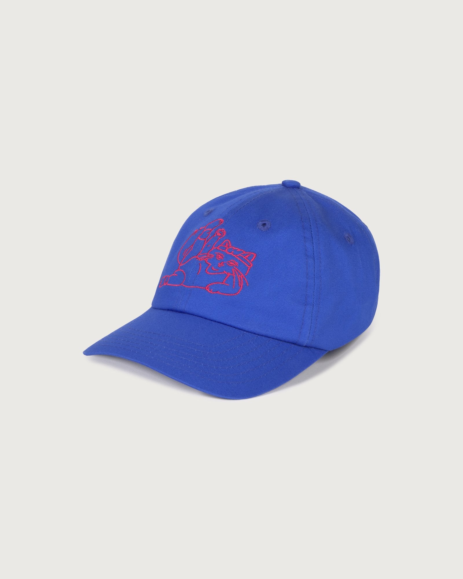 Gorra meowrobics azul sostenible silueta - 1